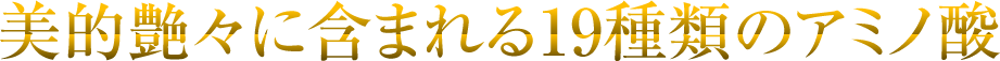 美的艶々に含まれる19種類のアミノ酸